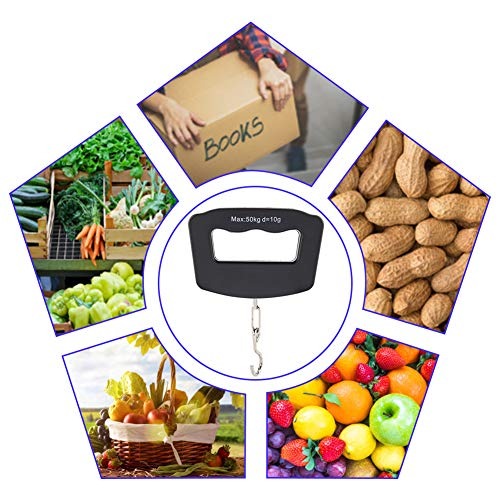 50kg Portable Handheld Digital - Fishing Hook Stainless Steel บทวิจารณ์และราคา